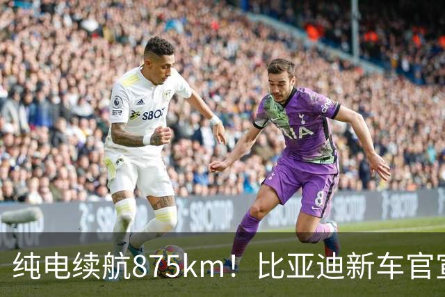 纯电续航875km！比亚迪新车官宣：10月23日即将上市